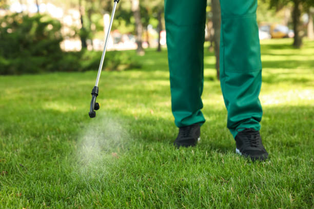 Best Emergency Pest Control  in Lford, MI