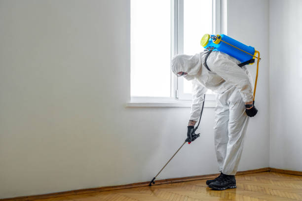 Best Commercial Pest Control Services  in Lford, MI