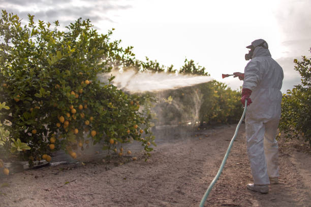 Best Best Pest Control Companies  in Lford, MI