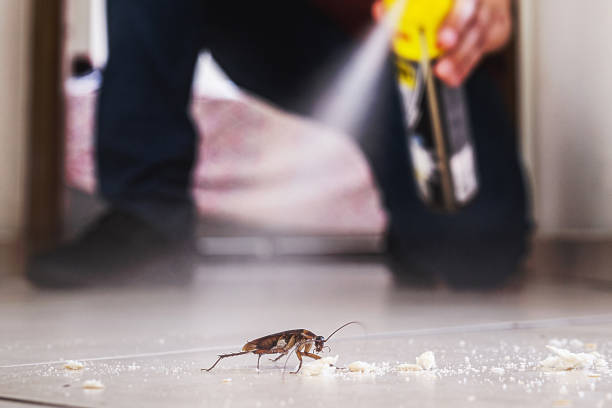 Best Pest Removal Services  in Lford, MI